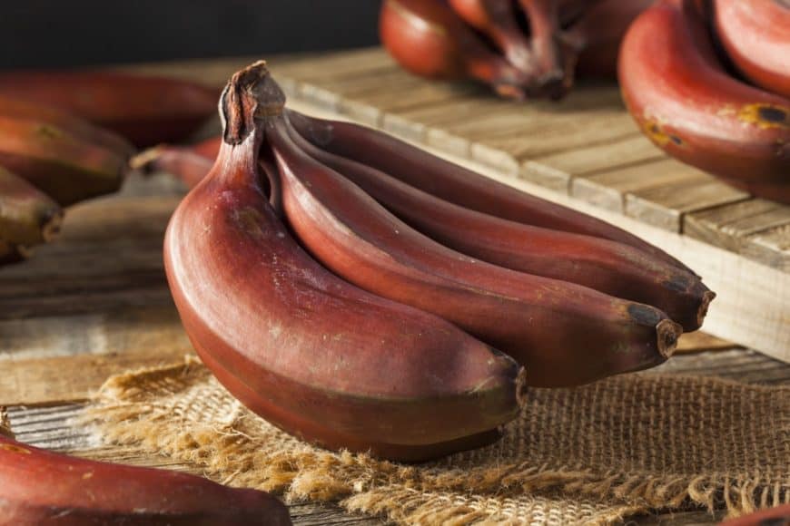 Organic red bananas
