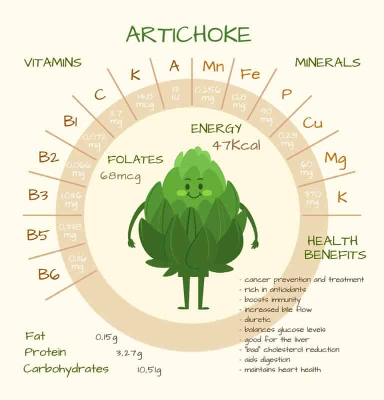 18 Different Types of Artichokes