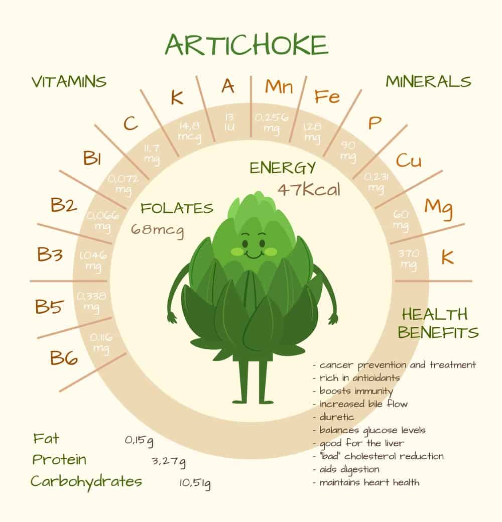 Artichoke Nutrition Facts Chart