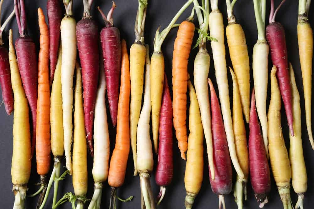 44 Different Types of Carrots
