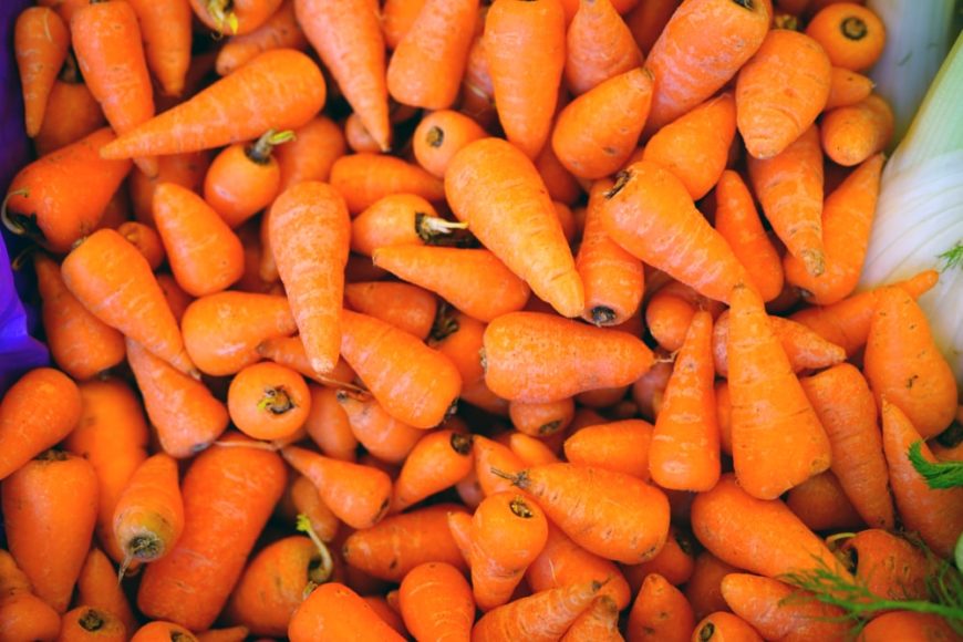 44-different-types-of-carrots