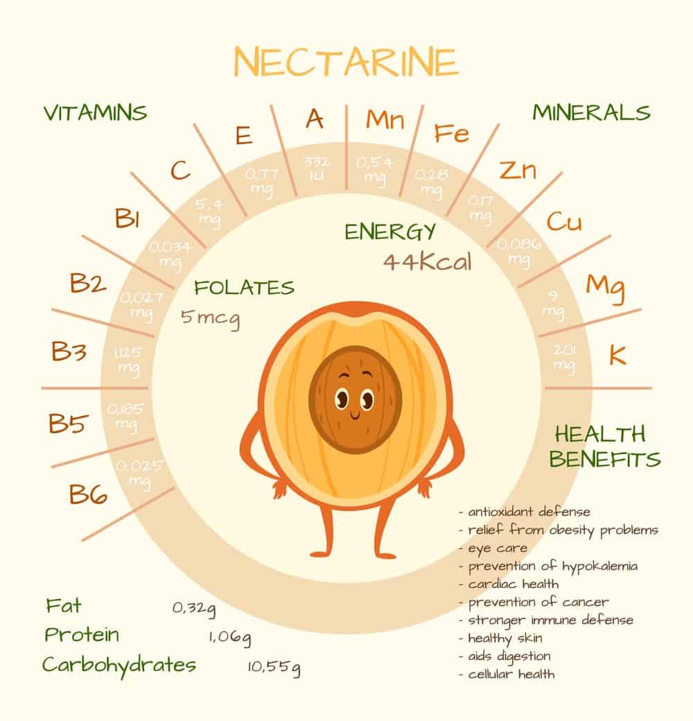 Nectarine Nutrition Facts Chart