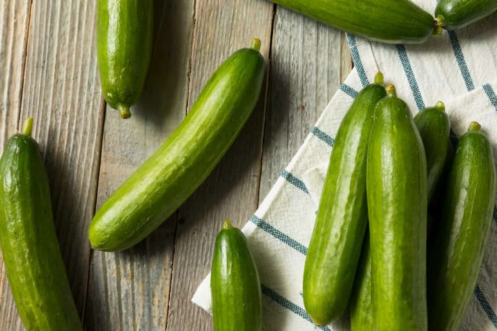 Persian Cucumbers