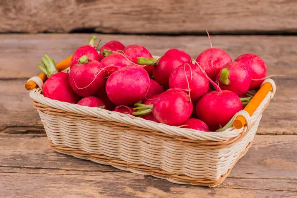 35 Different Types of Radishes