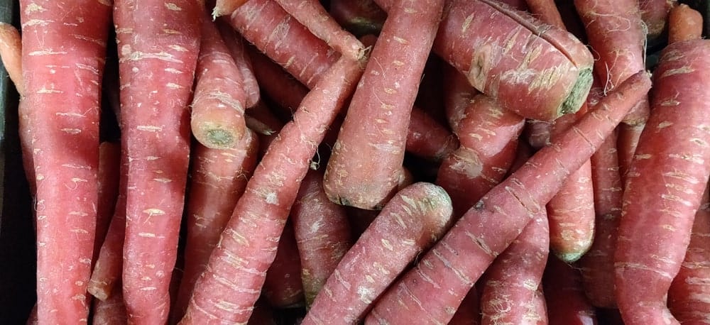 Red-cored carrots