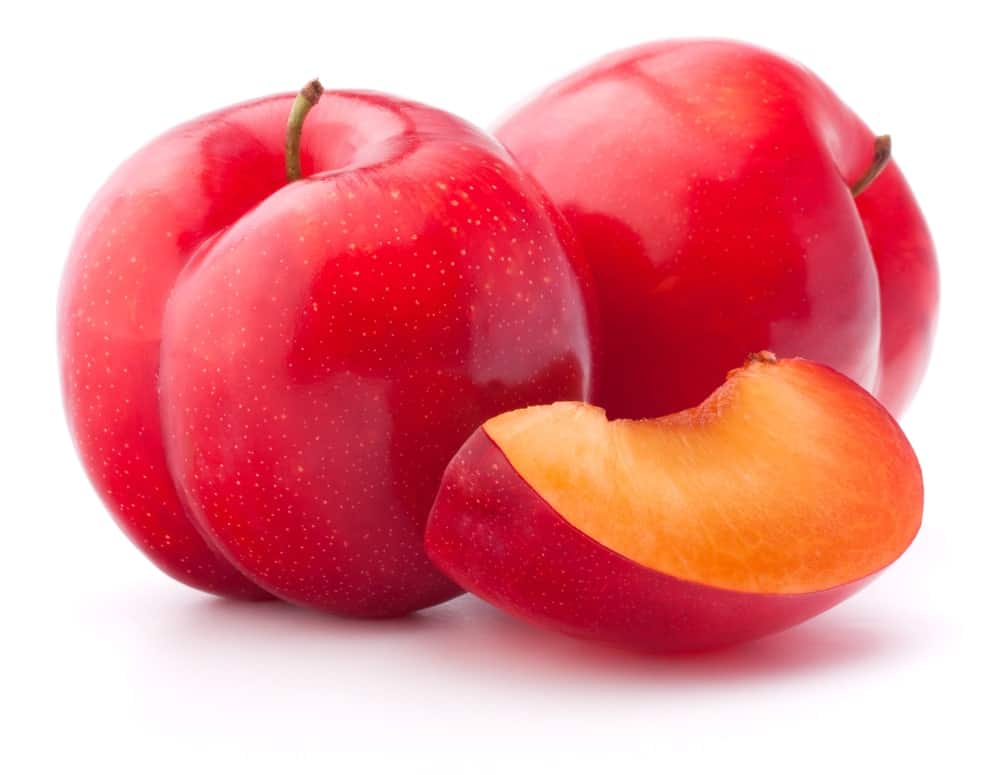 12 Different Types of Plums PopOptiq