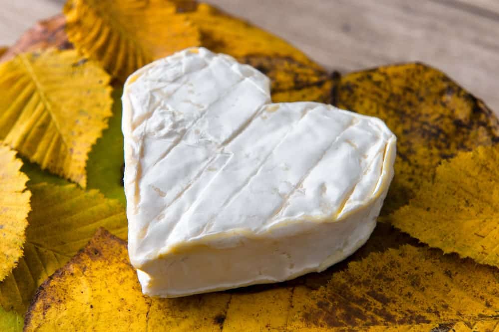Heart shaped cheese on autumn leaves