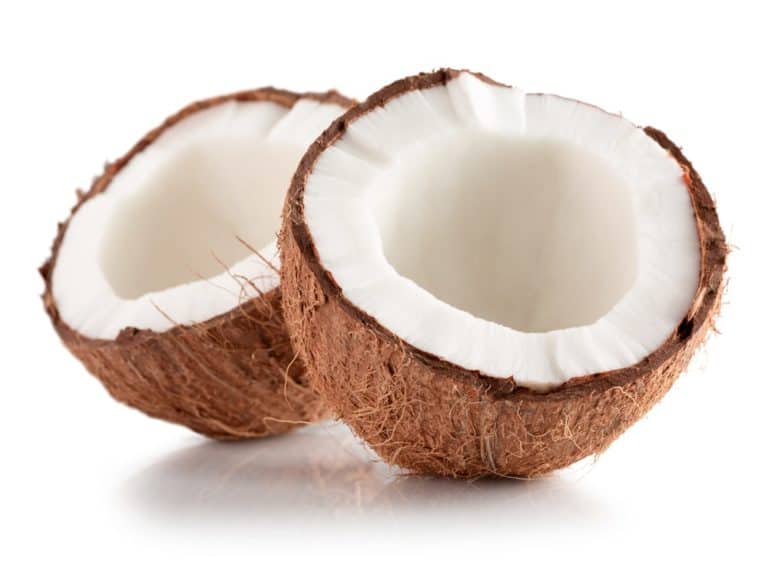 13 Different Types of Coconuts that Grow Around the World