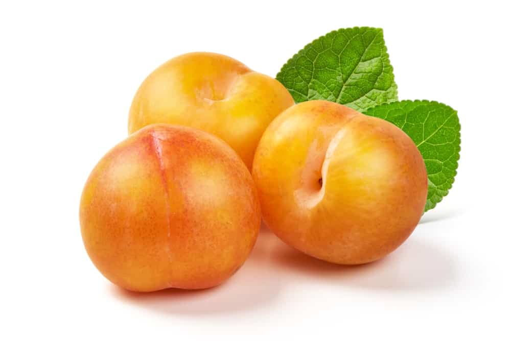Juicy Yellow Plums