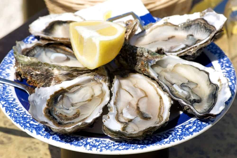 Oysters from the Atlantic Coast