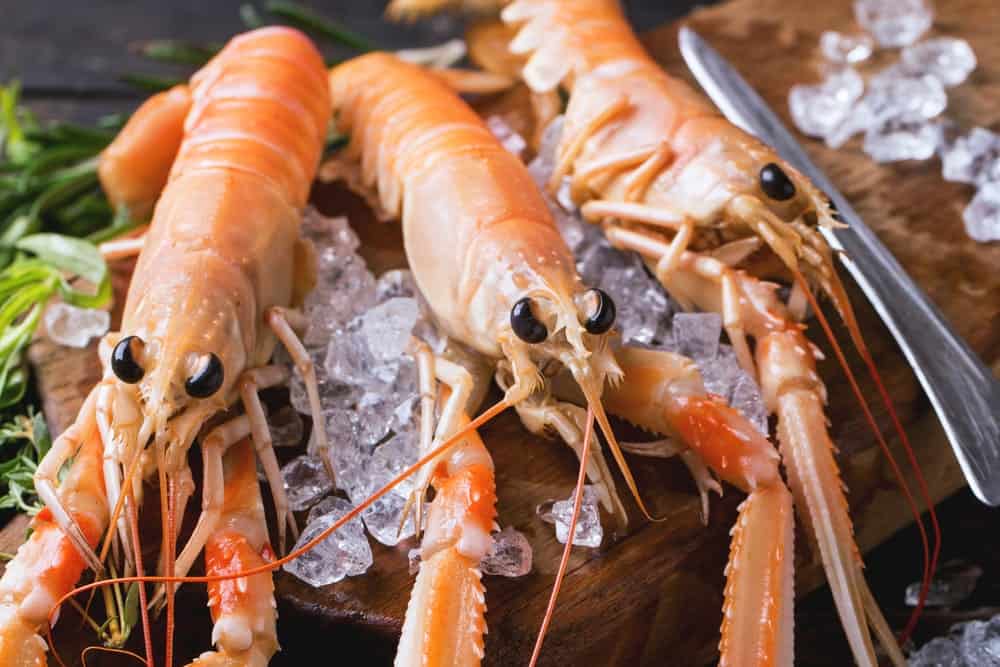 raw rock shrimps