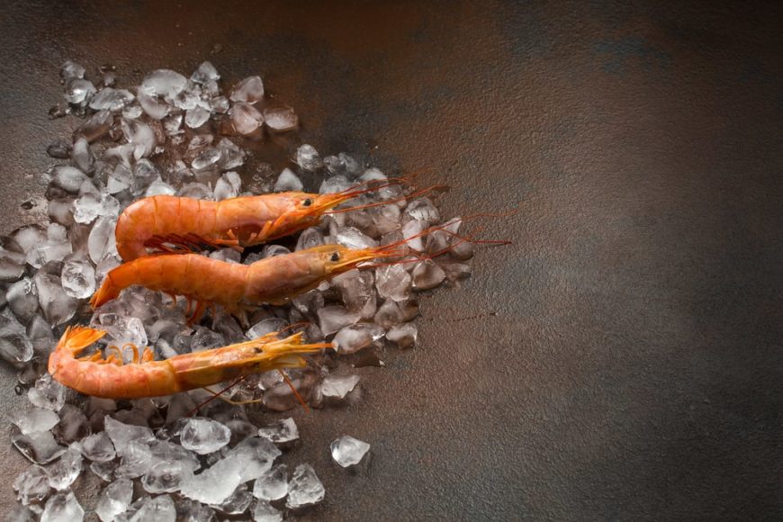 Different types of shrimp