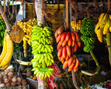 A display of different types of bananas.