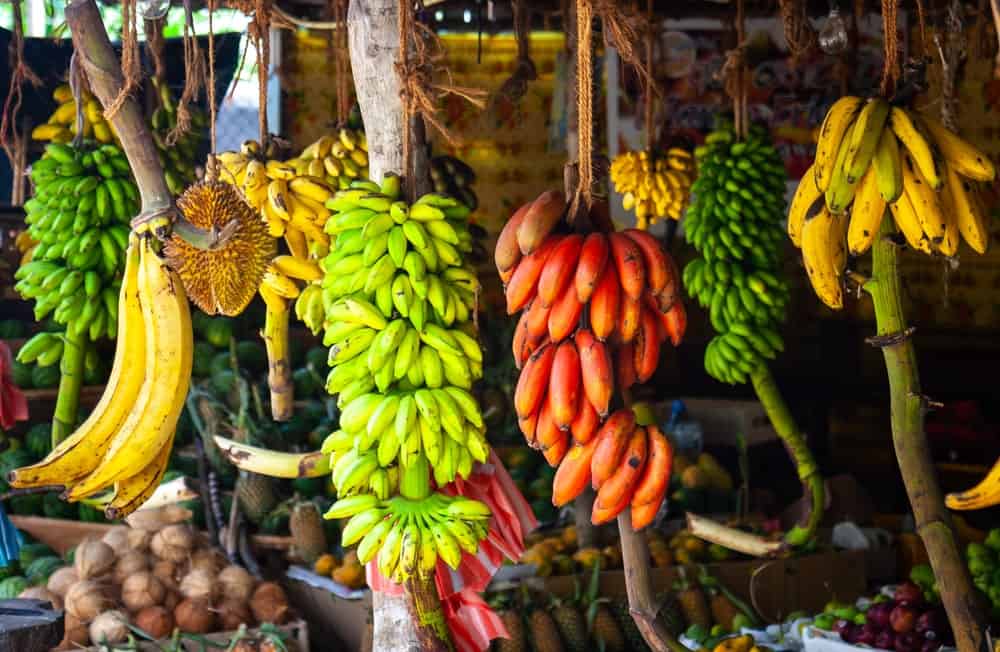 13 Different Types of Bananas – PopOptiq