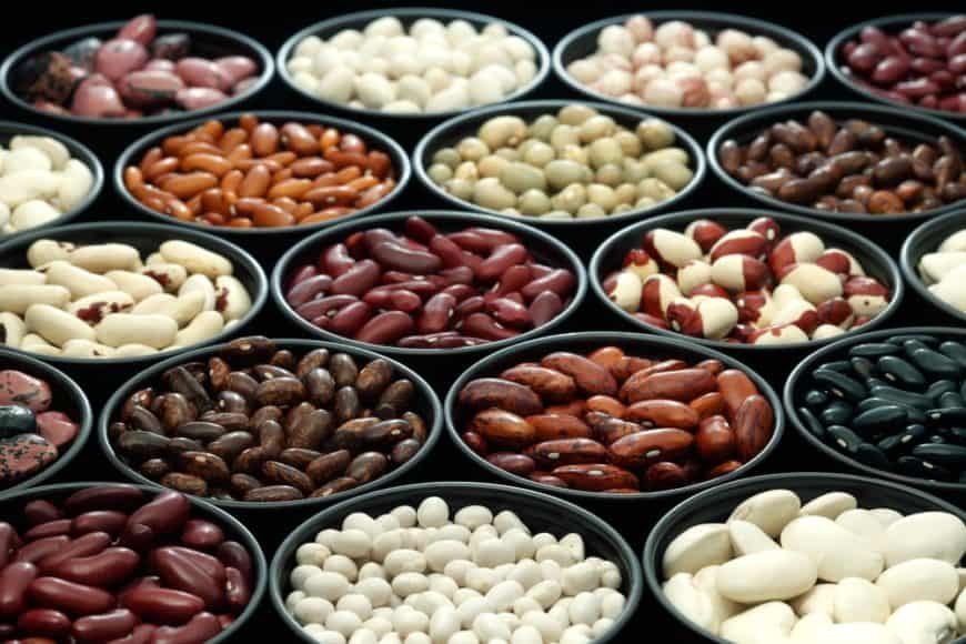 Bowls of various types of beans and legumes.