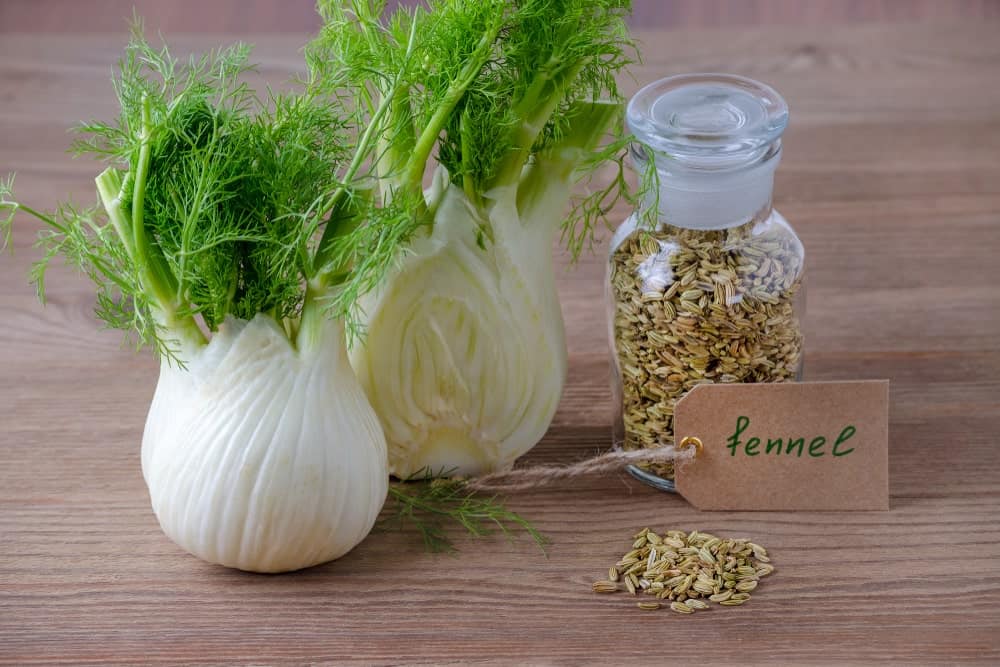7 Different Types of Fennel (Plus Essential Facts)