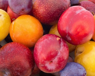 Different types of plums