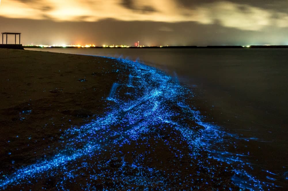 13 Different Types Of Beaches