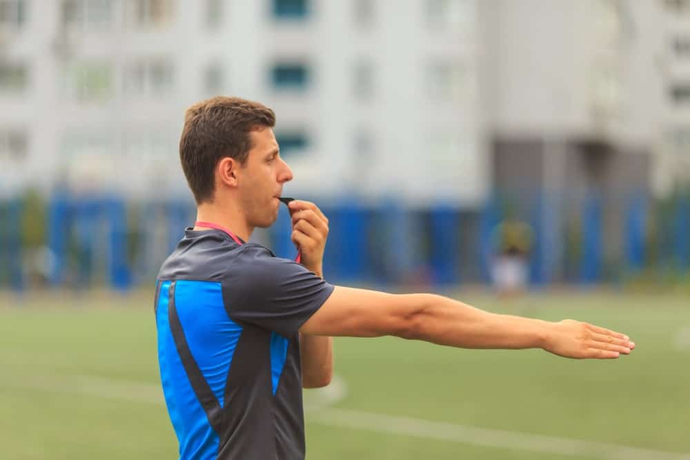 11 Different Types of Whistles