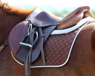 Horse saddle