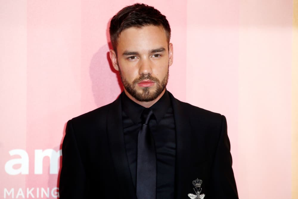 Liam Payne attended the 2018 amfAR Gala Night.