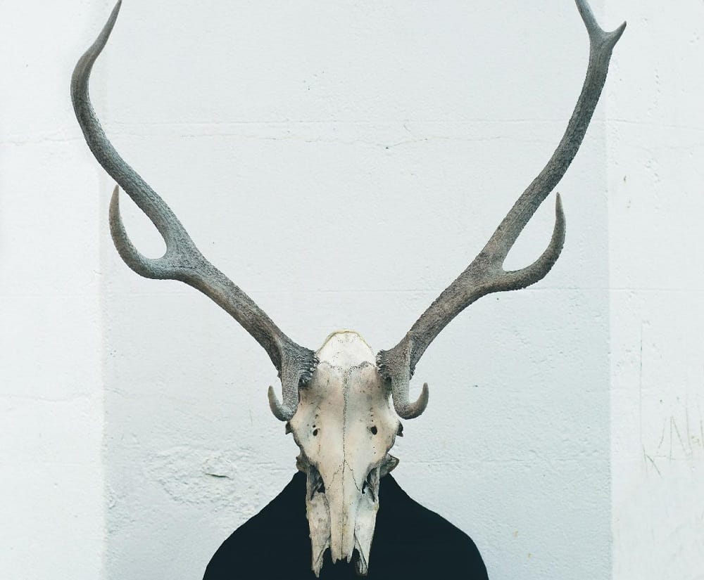 This is a man wearing a deer skull like in the movie Wrong Turn.