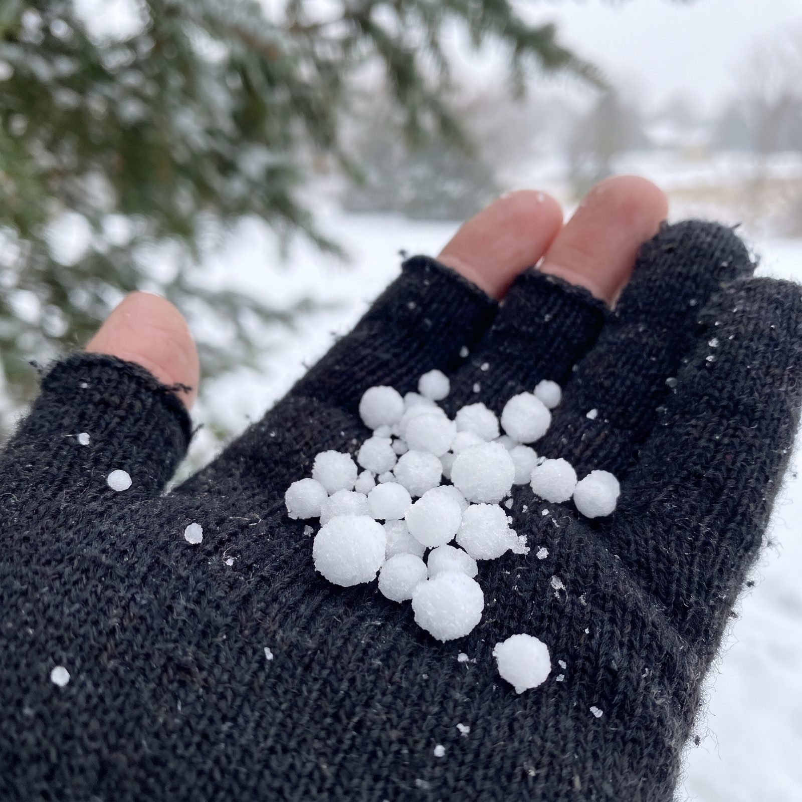 Graupel: The Soft Hail Everyone Mistakes for Snow