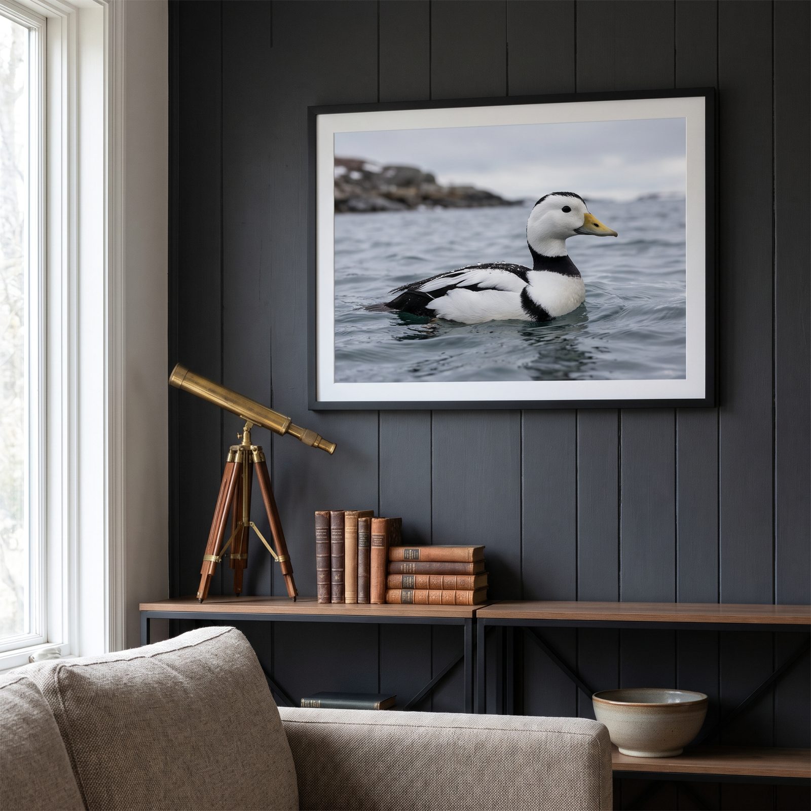 The Labrador Duck: North America's Great Unsolved Extinction